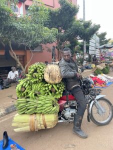 Bananer på vei til markedet i Entebbe- Alakara reiser
