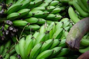 Matooke bananer i Uganda