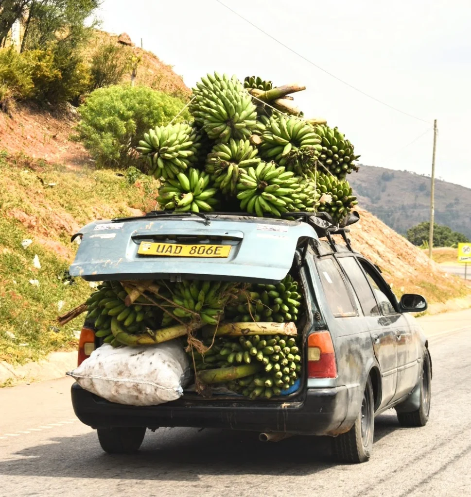 Bil fullastet med bananer i Vest-Uganda