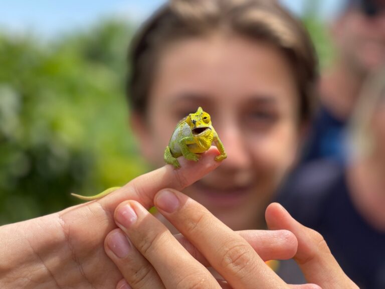 Instagram post from alakarareiser. This post is in position 4.