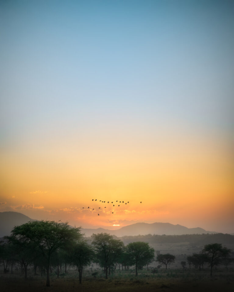 Instagram post from alakarareiser. This post is in position 6.