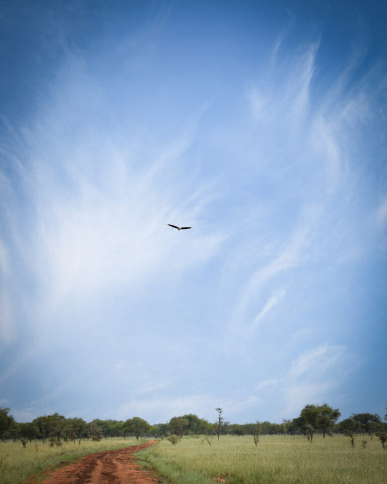 Instagram post from alakarareiser. This post is in position 5.